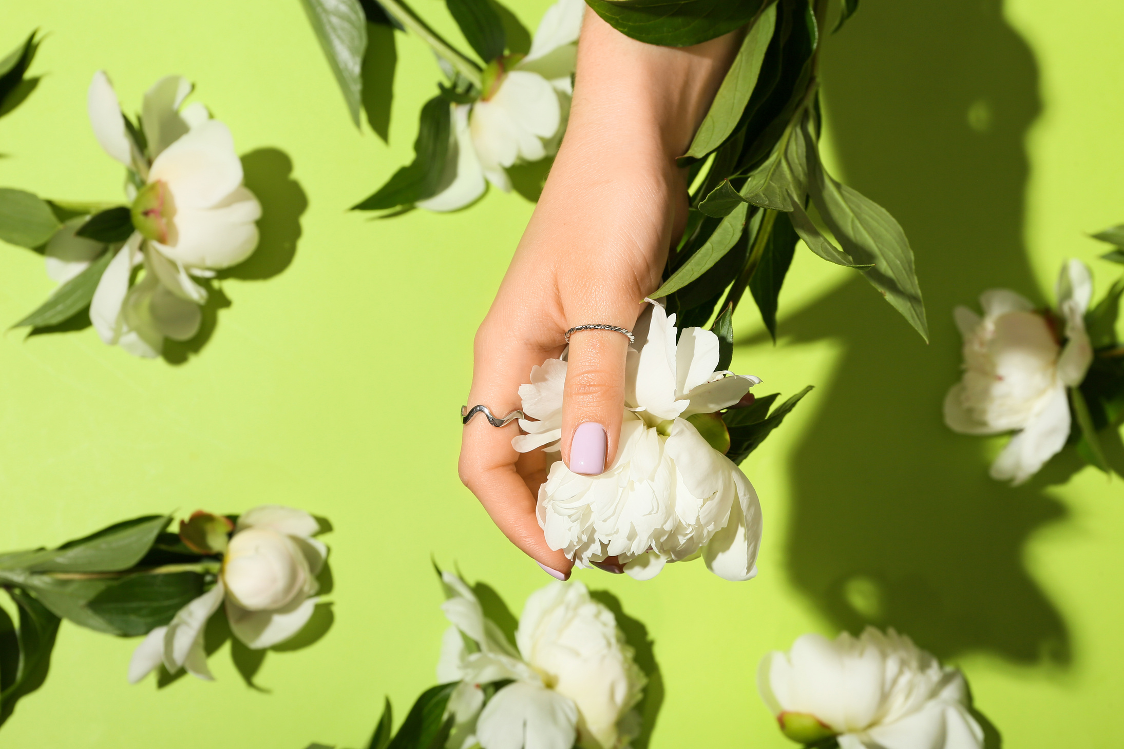 Woman with Beautiful Manicure and Stylish Jewelry Holding Flower on Color Background